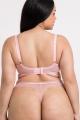 Curvy Kate - Lifestyle G-streng