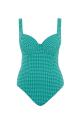 Panache Swim - Gingham Badedragt G-M skål