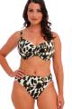 Fantasie Swim - Cabo Verde Bikini BH G-K skål