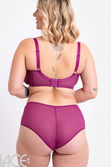 Curvy Kate - Victory Shorts