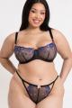 Curvy Kate - Strawberry Crush Brasiliansk g-streng